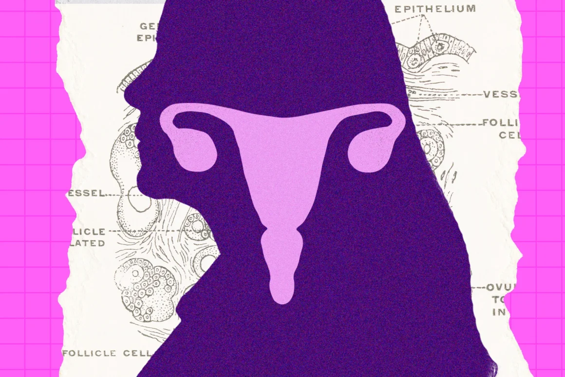 092226 menopause ovary