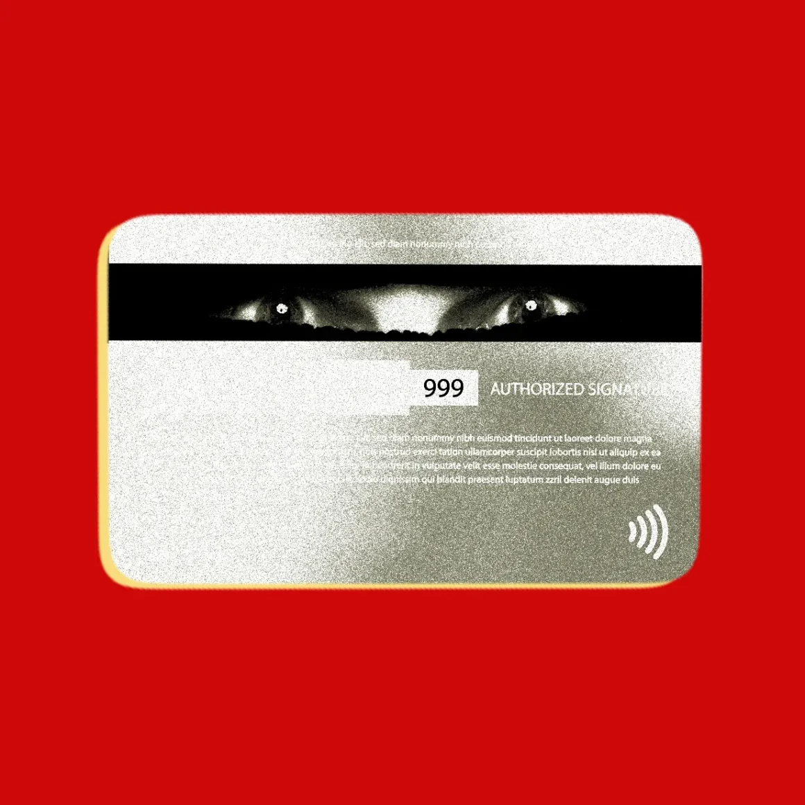 Kernel panic credit card scams security