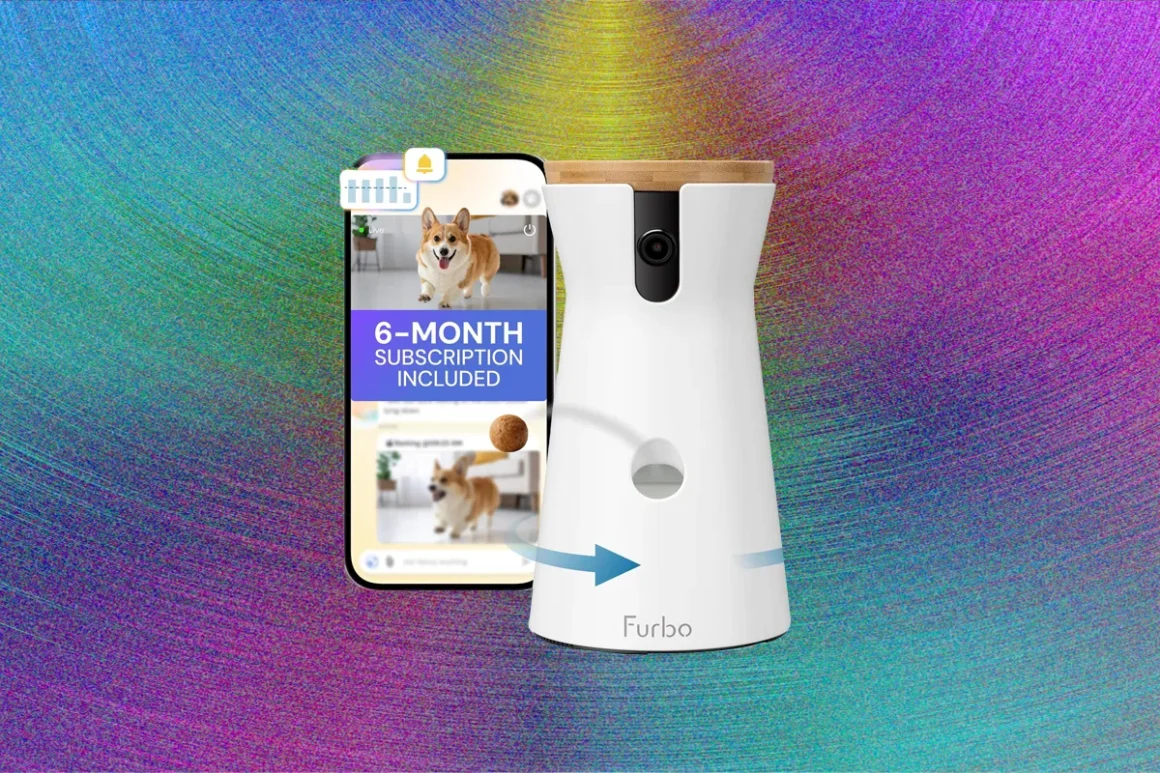 Pet cameras update 102026 top art source amazon